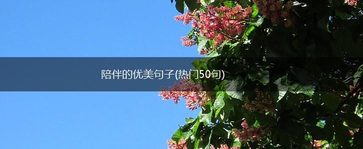 陪伴的优美句子(热门50句),第1张