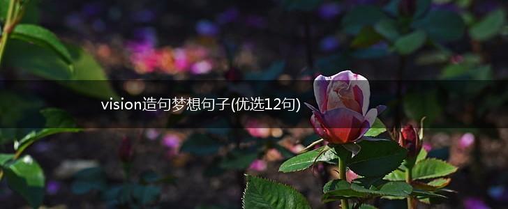 vision造句梦想句子(优选12句),第1张