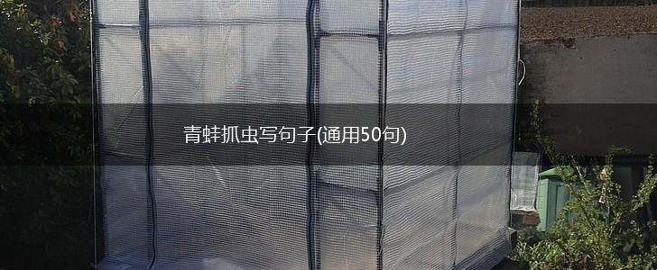 青蛙抓虫写句子(通用50句),第1张