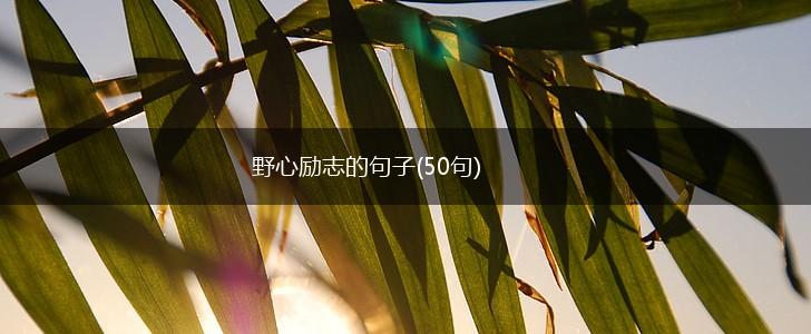 野心励志的句子(50句),第1张