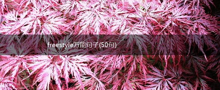 freestyle万能句子(50句),第1张