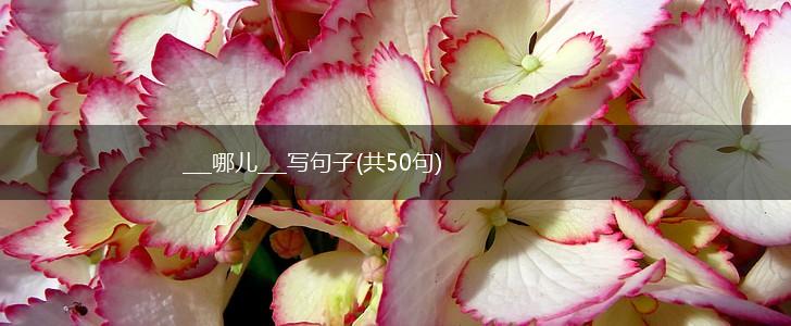 ___哪儿___写句子(共50句),第1张
