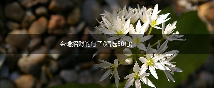 金蟾招财的句子(精选50句),第1张