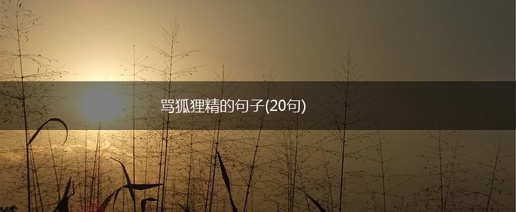 骂狐狸精的句子(20句),第1张