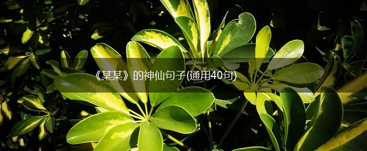 《某某》的神仙句子(通用40句),第1张