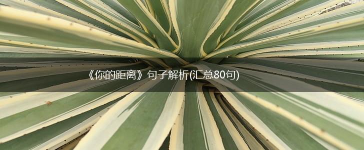 《你的距离》句子解析(汇总80句),第1张