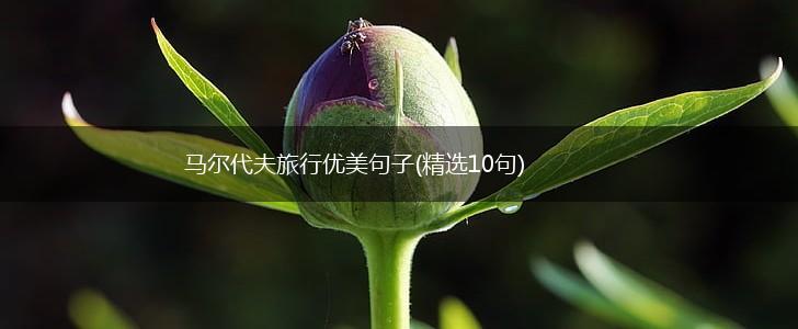 马尔代夫旅行优美句子(精选10句),第1张