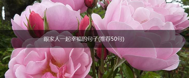 跟家人一起幸福的句子(推荐50句),第1张