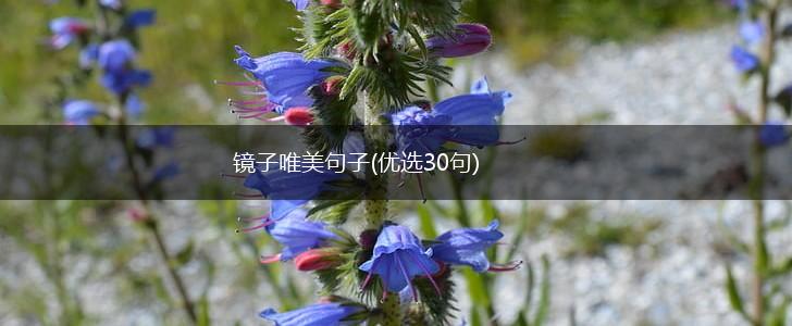 镜子唯美句子(优选30句),第1张