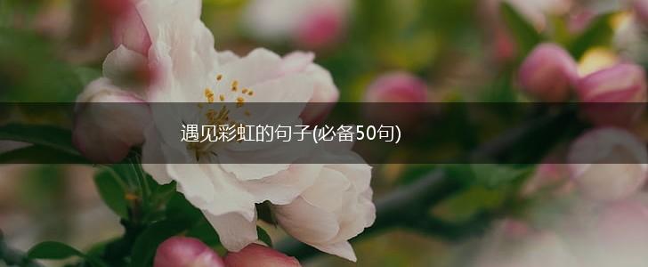 遇见彩虹的句子(必备50句),第1张