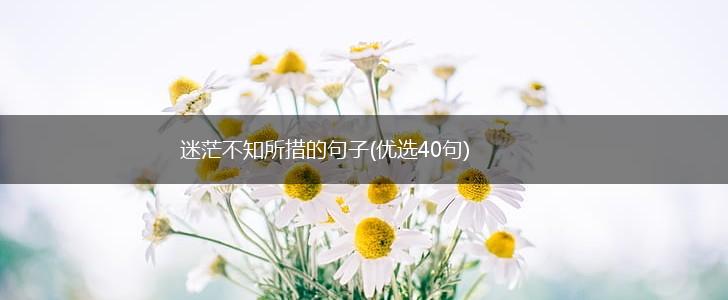 迷茫不知所措的句子(优选40句),第1张