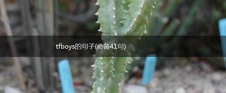 tfboys的句子(必备41句),第1张