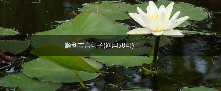 顺利吉言句子(通用50句),第1张