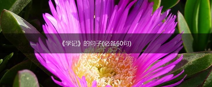 《学记》的句子(必备60句),第1张