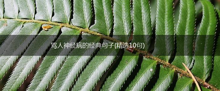 骂人神经病的经典句子(精选10句),第1张