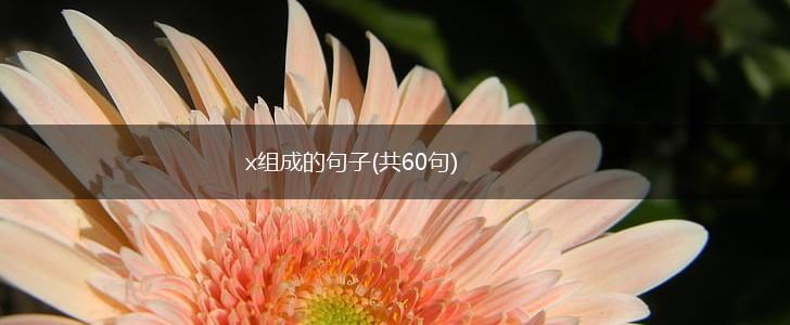 x组成的句子(共60句),第1张