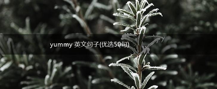yummy 英文句子(优选50句),第1张