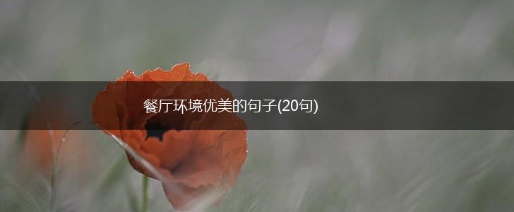 餐厅环境优美的句子(20句),第1张