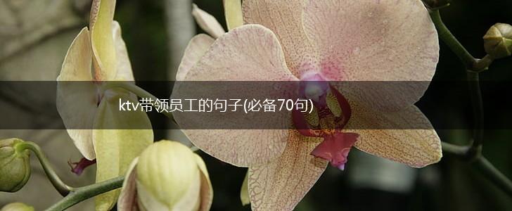ktv带领员工的句子(必备70句),第1张