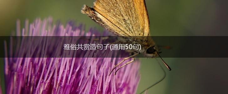 雅俗共赏造句子(通用50句),第1张