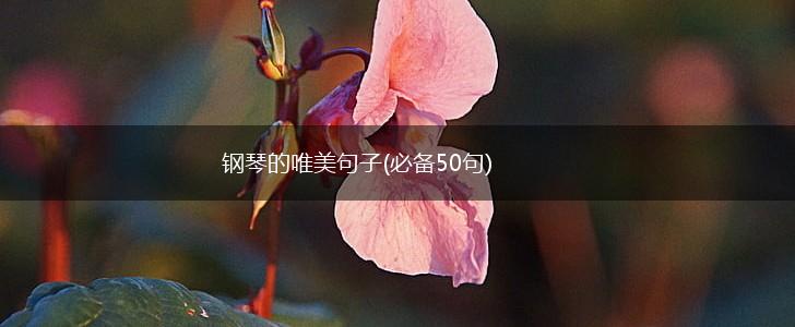 钢琴的唯美句子(必备50句),第1张
