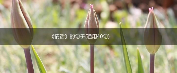 《情话》的句子(通用40句),第1张