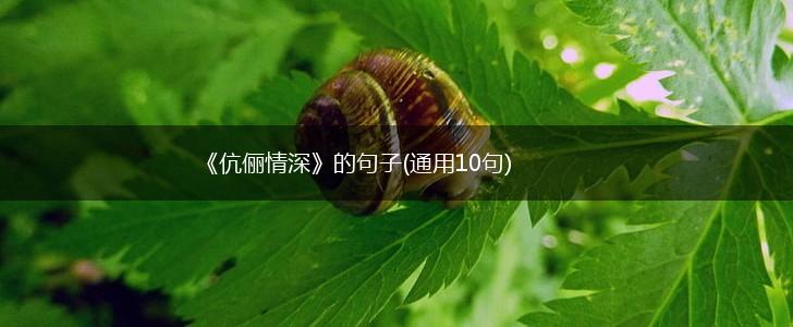 《伉俪情深》的句子(通用10句),第1张