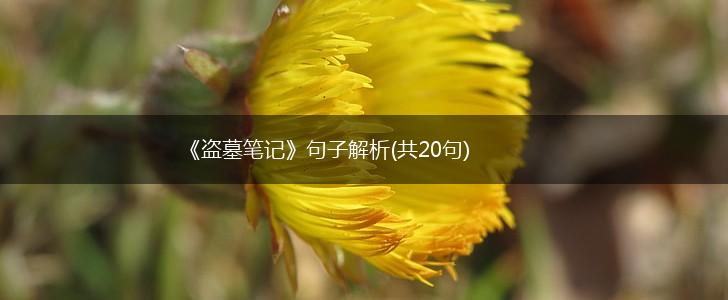 《盗墓笔记》句子解析(共20句),第1张