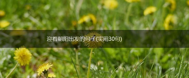 迎着朝阳出发的句子(实用30句),第1张