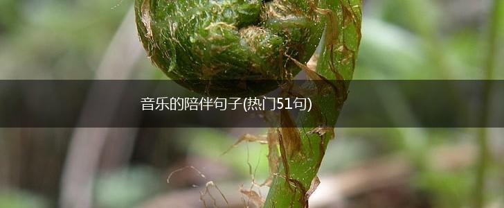 音乐的陪伴句子(热门51句),第1张
