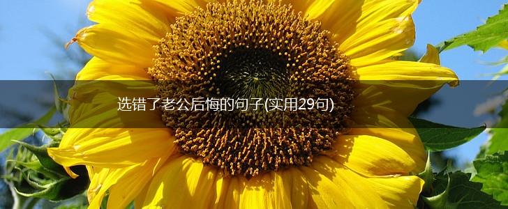选错了老公后悔的句子(实用29句),第1张