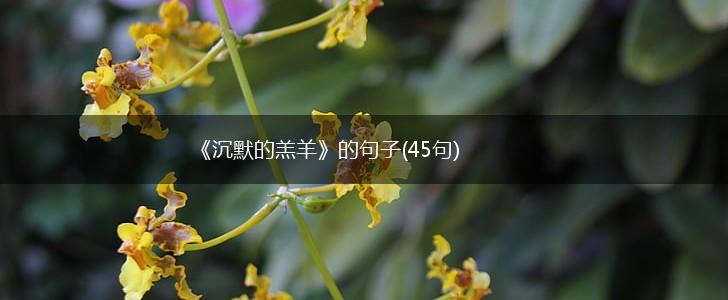 《沉默的羔羊》的句子(45句),第1张