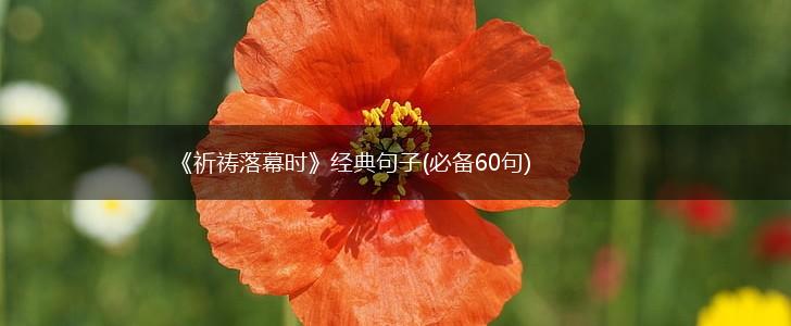 《祈祷落幕时》经典句子(必备60句),第1张