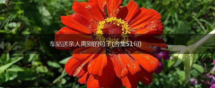 车站送亲人离别的句子(合集51句),第1张
