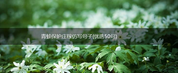 青蛙保护庄稼仿写句子(优选50句),第1张