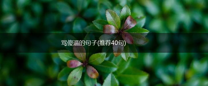 骂傻逼的句子(推荐40句),第1张