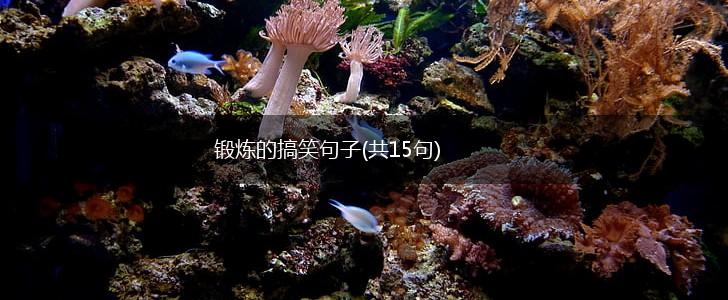 锻炼的搞笑句子(共15句),第1张