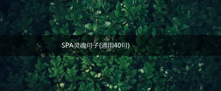 SPA灵魂句子(通用40句),第1张