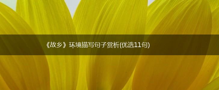 《故乡》环境描写句子赏析(优选11句),第1张