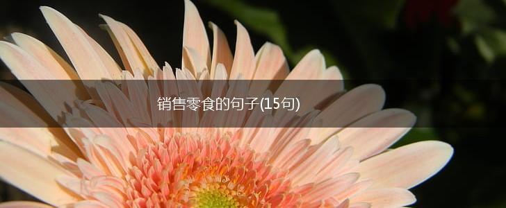 销售零食的句子(15句),第1张