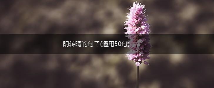 阴转晴的句子(通用50句),第1张