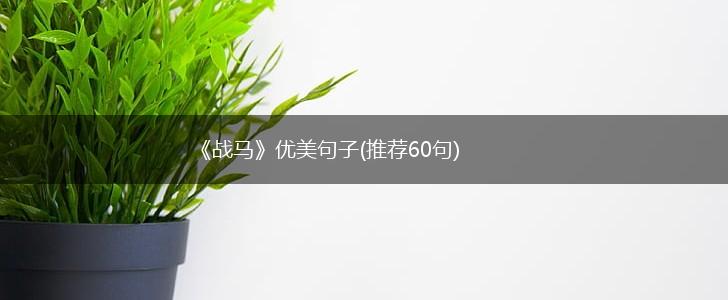 《战马》优美句子(推荐60句),第1张