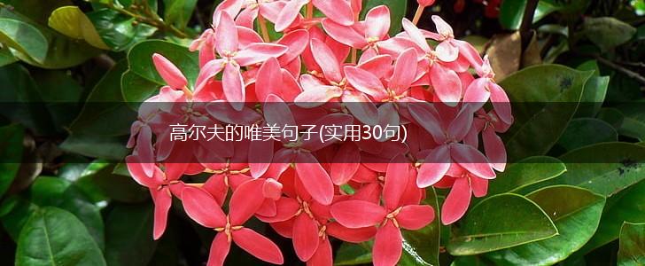 高尔夫的唯美句子(实用30句),第1张
