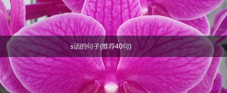 s话的句子(推荐40句),第1张