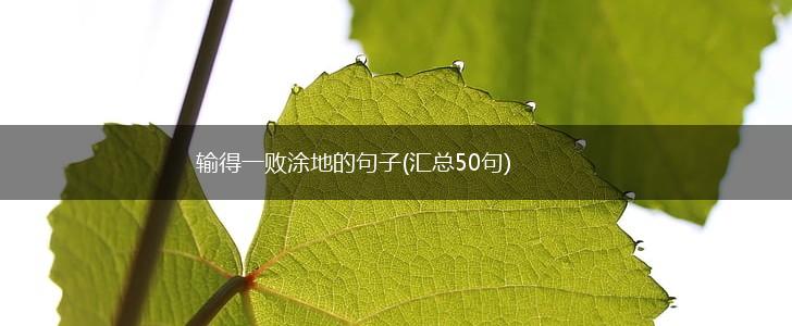 输得一败涂地的句子(汇总50句),第1张