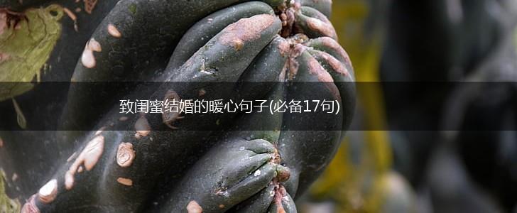 致闺蜜结婚的暖心句子(必备17句),第1张