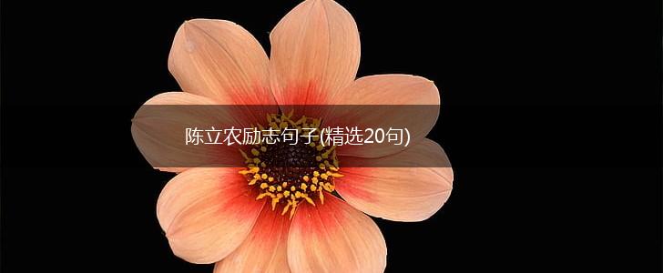 陈立农励志句子(精选20句),第1张