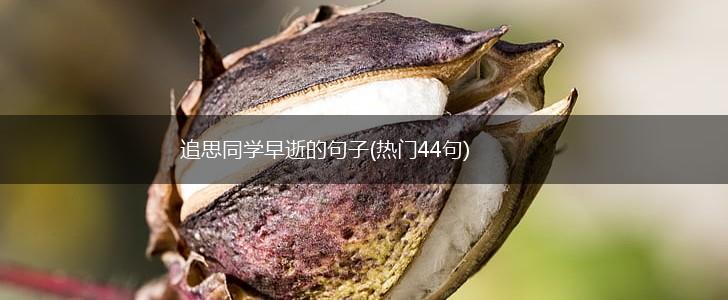 追思同学早逝的句子(热门44句),第1张