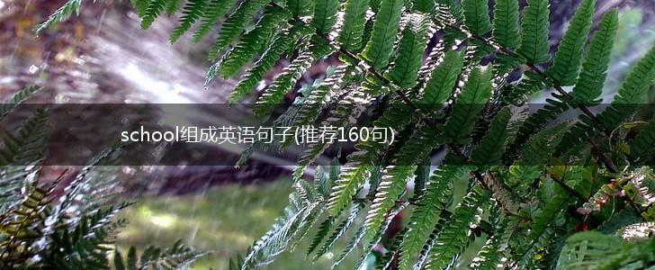 school组成英语句子(推荐160句),第1张