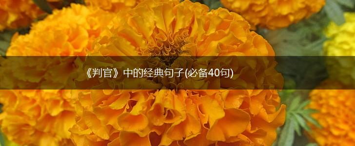 《判官》中的经典句子(必备40句),第1张
